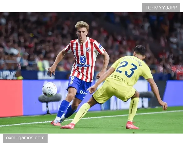 德甲转会窗口回顾：多队引援成效显著，新星闪耀赛场