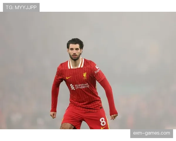 贝肯鲍尔的传球视野解析 贝肯鲍尔的传球视野解析